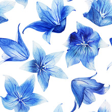 Watercolor Seamless Pattern With Bellflower, Bluebell On An Isolated White Background, Botanical Drawing. Stock Illustration. Fabric Wallpaper Print Texture. 