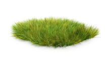 Dry Grass, 3d Illustration