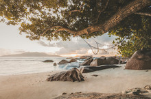 Amazing Travel Landscape During Sunset On La Digue With Beautiful View On A Hammock With Iconic Rocks Of Seychelles, Travel Lust Concept