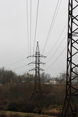 Iron electric tower in the woods in the morning