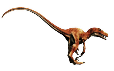 Aufkleber - Deinonychus is a theropod dinosaur, a cousin of velociraptor, that lived during the Cretaceous. Here depicted with no feathers on a White Background. 3D Rendering