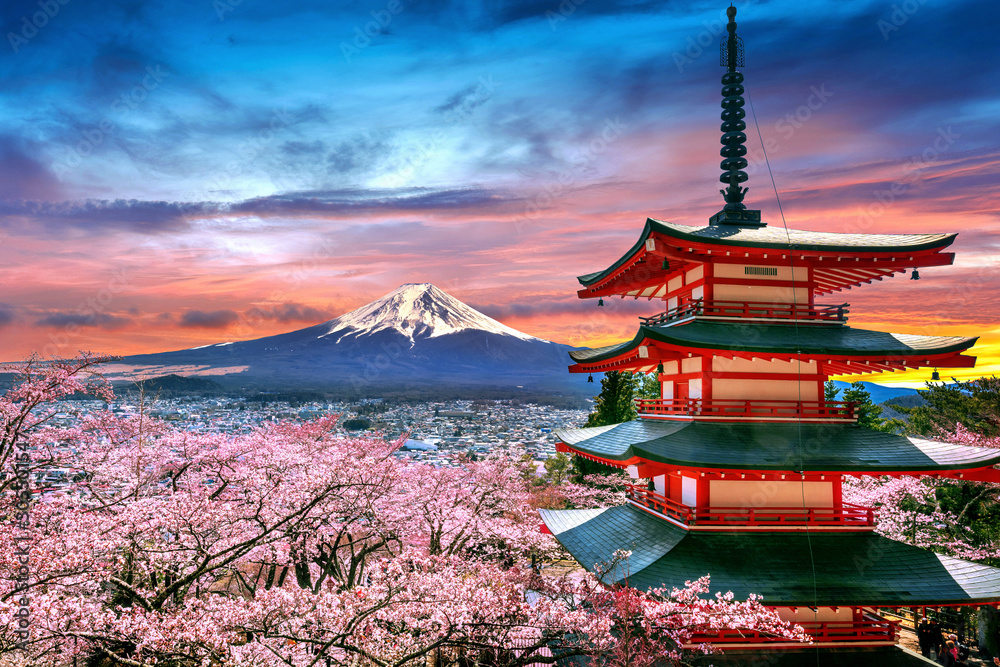 Cherry blossoms in spring, Chureito pagoda and Fuji mountain at sunset in Japan. - obrazy, fototapety, plakaty 