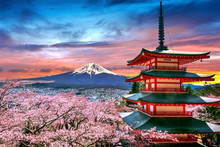 Cherry Blossoms In Spring, Chureito Pagoda And Fuji Mountain At Sunset In Japan.