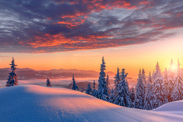 fantastic winter landscape during sunset. colorful sky glowing by sunlight. dramatic wintry scene. s