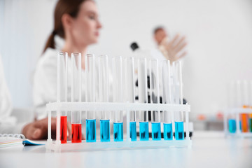 Poster - Rack with test tubes on white table and laboratory assistants in room. Medical research