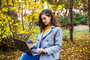 Young woman is using laptop in a park on a sunny Autumn day.