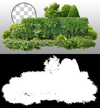 Cutout Green Hedge. Garden Design Isolated On Transparent Background Via An Alpha Channel. Flowering Shrub And Green Plants For Landscaping. Decorative Shrub And Boxwood Hedge. High Quality Mask