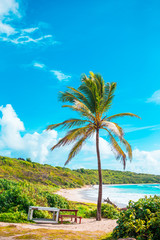 Wall Mural - Idyllic tropical beach with white sand, turquoise ocean water and big palm trees