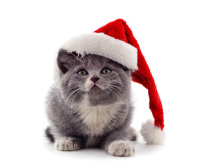 Sticker - Cat in a Christmas hat.