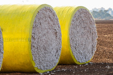 Cotton Bales In Bright Yellow Protective Wrap. Round Cotton Bales In Field After Being Harvested On Farm.
