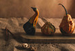 © Jordi Calvera/ADDICTIVE STOCK - Still life of small dried pumpkins on wooden surface with spice of pepper and cinnamon on tough tissue in warm light