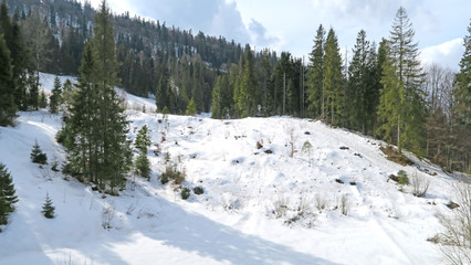 wonderful snowy mountain landscape in early spring