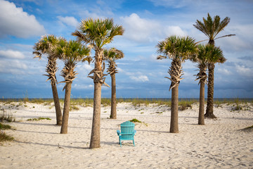 Wall Mural - Lonely chair at the beach within the palm trees