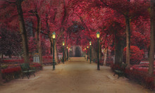 Magic Landscape With Red Trees