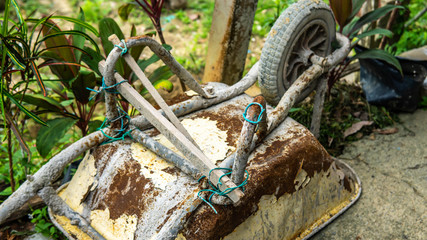 Close up view of tire of an old rusty 3-wheeled wheelbarrow with plant nature background.