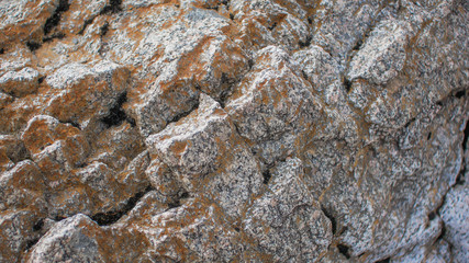 Wall Mural - the surface of the rock closeup