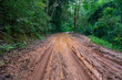 road wet muddy of backcountry countryside in rainy day