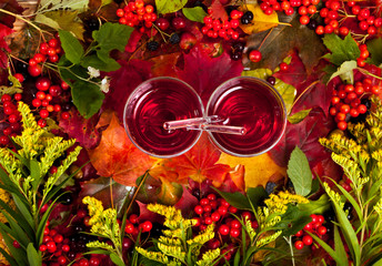 Wall Mural - Mulled wine in a glass cups on a background of fallen autumn leaves with red berries and branches of Canada goldenrod (Solidago canadensis). Top view. Autumn background.