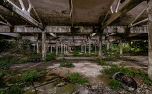 Image Of Abandoned Industrial Warehouse Where The Vegetation Is Invading The Now Destroyed Interiors