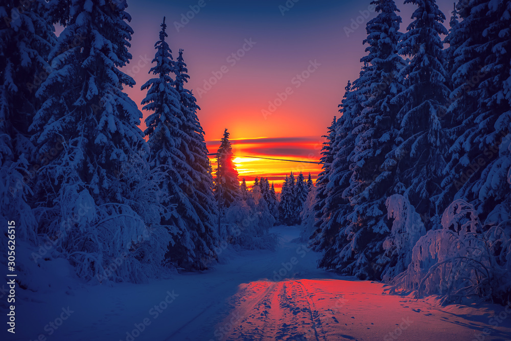 Obraz na płótnie Cold winter day sunset landscape with snowy trees. Photo from Sotkamo, Finland. Background Heavy snow view. w salonie