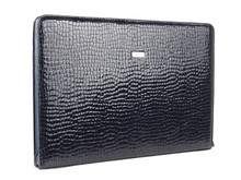 Black Reptile Skin Leather Case Or Folder For Papers Isolated