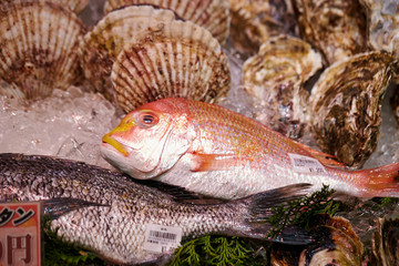 Poster - Seafood Market