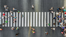 Aerial. Pedestrians On A Zebra Crosswalk. Top View.
