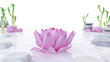 3d rendered spa illustration - stones bambus and lotus flowers