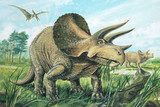 Fototapeta  - TRICERATOPS. A plant-eater. The largest of the horned dinosaurs. About 20ft (6m) long. Background: Pteranodon. Upper Cretaceous, about 70 million years ago. *No. 8 in a series of eight.* 