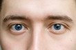 blue eyes of a man close up. the concept of ophthalmology optics and medicine. the male gaze