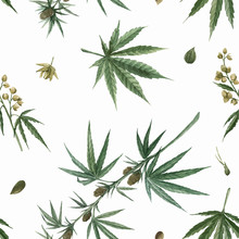 Beautiful Vector Watercolor Medical Marijuana Seamless Pattern. Natural Therapeutic Drug.
