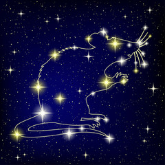 Wall Mural - Rat in the starry sky a symbol of the Chinese new year.