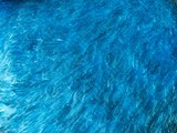 Fototapeta Łazienka - Soft fluffy fur fabric in cool blue shade: a closeup