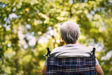 Poster - rear view of asian old man sitting wheel chair