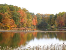 Autumn Colored Trees In A Cove Of A Lake