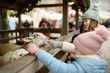 © MNStudio - Two cute young sisters having fun feeding sheep in a small petting zoo on traditional Christmas market in Riga, Latvia. Happy winter activities for kids.