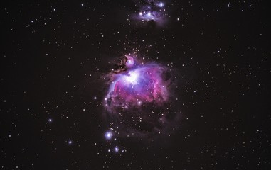 orion nebula