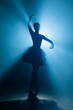 © kohanova1991 - Young beautiful ballerina on smoke stage dancing modern ballet. Performs smooth movements with hands against spotlight background. Woman in black tutu costume on scene.