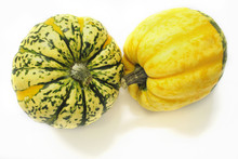 Green And Yellow Ornamental Squashes
