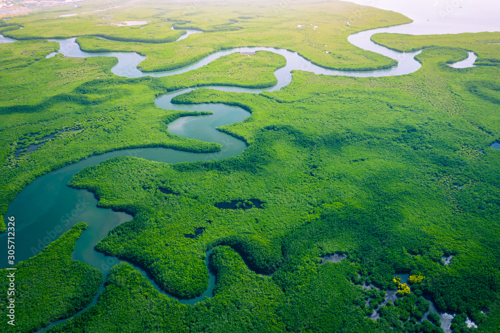 Gambia Mangroves. Aerial view of mangrove forest in Gambia. Photo made by drone from above. Africa Natural Landscape. - obrazy, fototapety, plakaty 