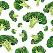 Seamless pattern with bright watercolor broccoli branches, hand-drawn for fabric decoration, printing and decorative paper, printing and design