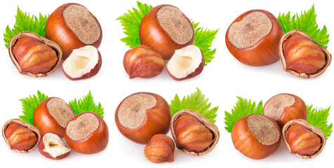 Wall Mural - Collection of hazelnut with leaf on white background