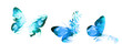 blue paint butterfly. Abstract mosaic of butterflies. Vector illustration