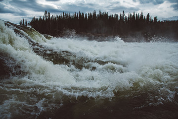 Wall Mural - waves and splashes of mountain river on background of forest and dramatic sky. forest river water la