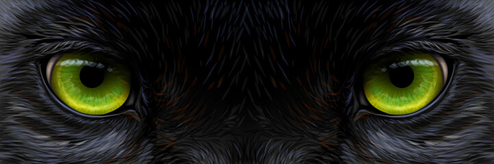 Wall Mural - big eyes. panther / black leopard eyes close-up.