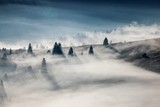 Fototapeta Sypialnia - Landscape misty panorama.Foggy clouds above forest trees. View below to fairy nature. Bucovina,Romania