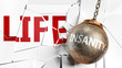 Insanity and life - pictured as a word Insanity and a wreck ball to symbolize that Insanity can have bad effect and can destroy life, 3d illustration