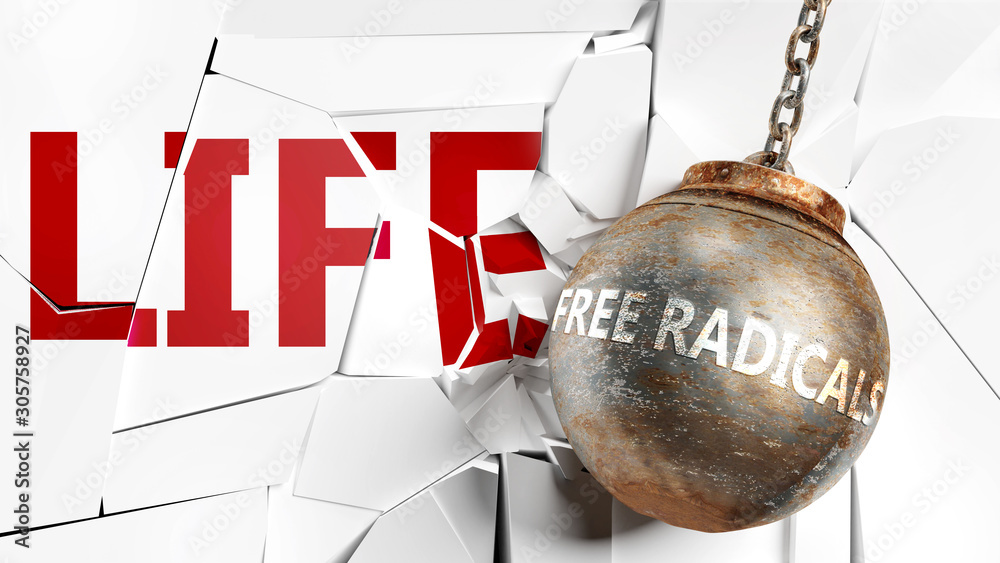 Free radicals and life - pictured as a word Free radicals and a wreck ball to symbolize that Free radicals can have bad effect and can destroy life, 3d illustration - obrazy, fototapety, plakaty 