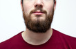 Portrait youn man with messy brown orange beard and moustache and messy hair. Bearded hipster on isolated white background with red shirt on.