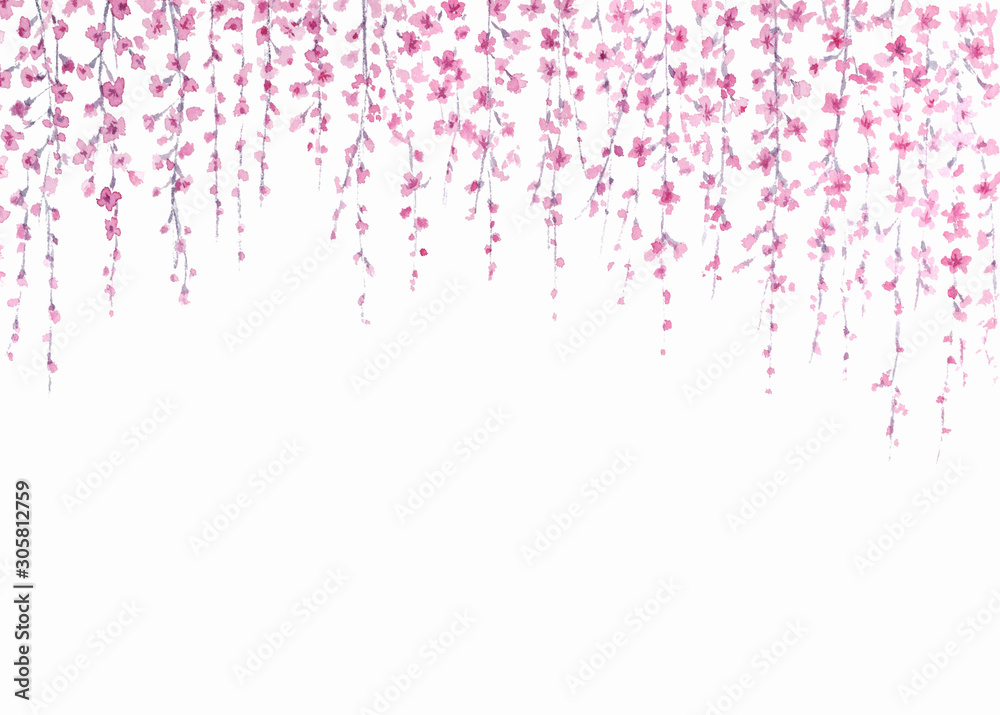 しだれ桜 水墨画 墨絵 墨彩画 背景 の Stock イラスト | Adobe Stock